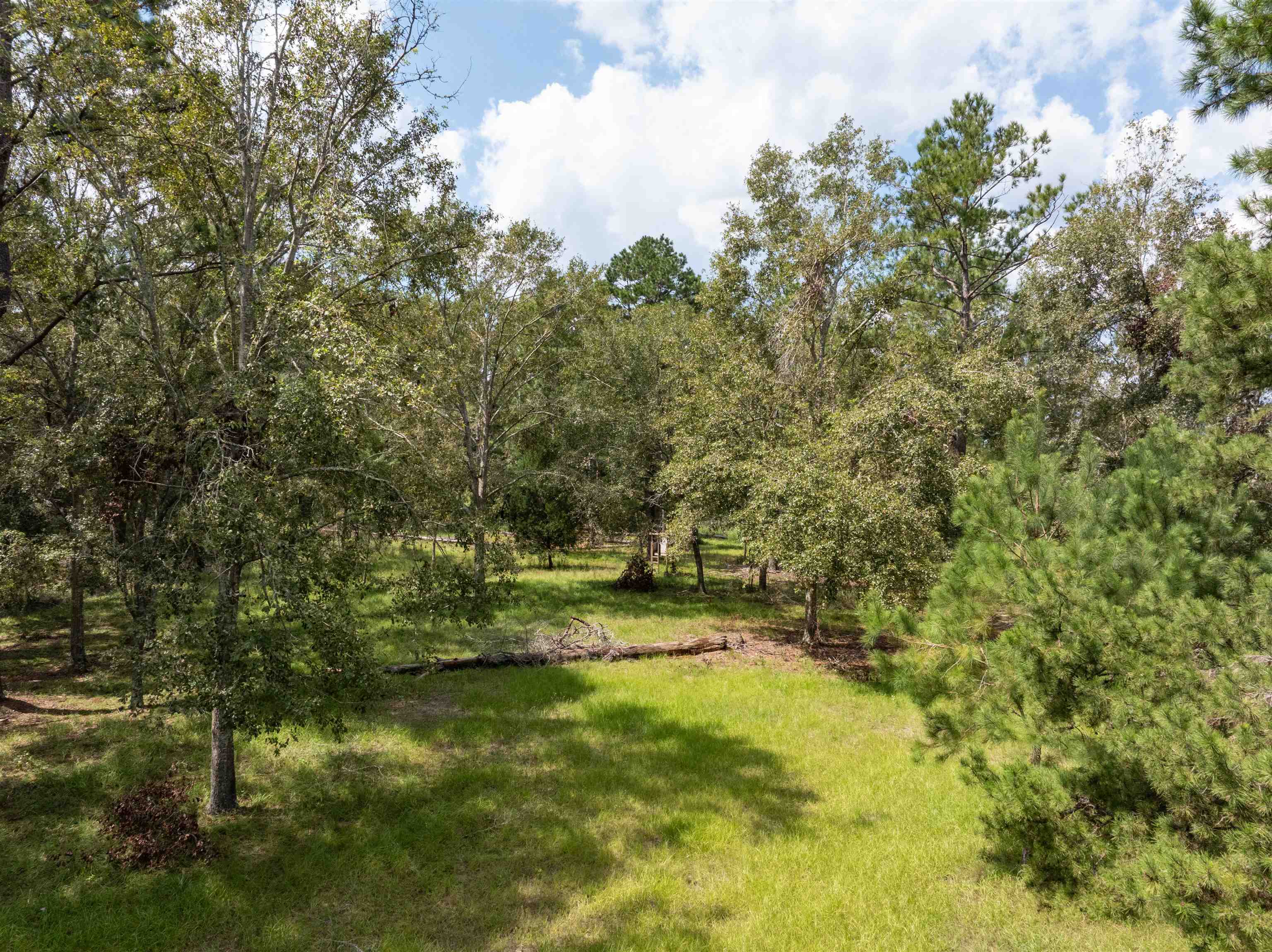 0 Northwest St Thomas Church Road Madison, FL 32340 - Photo 1 of 24 Gallery Image 1