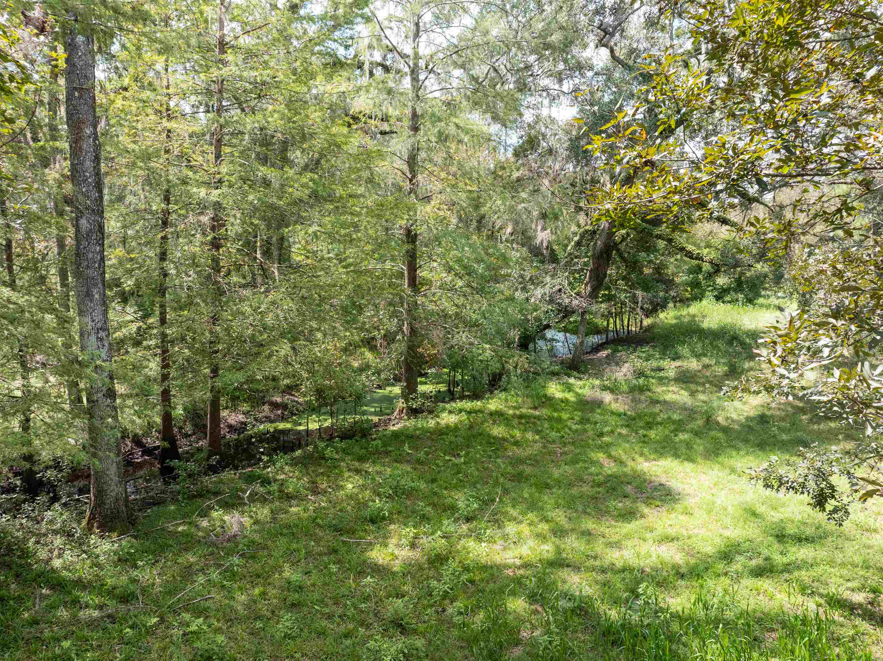 0 Northwest St Thomas Church Road Madison, FL 32340 - Photo 11 of 24 Gallery Image 11