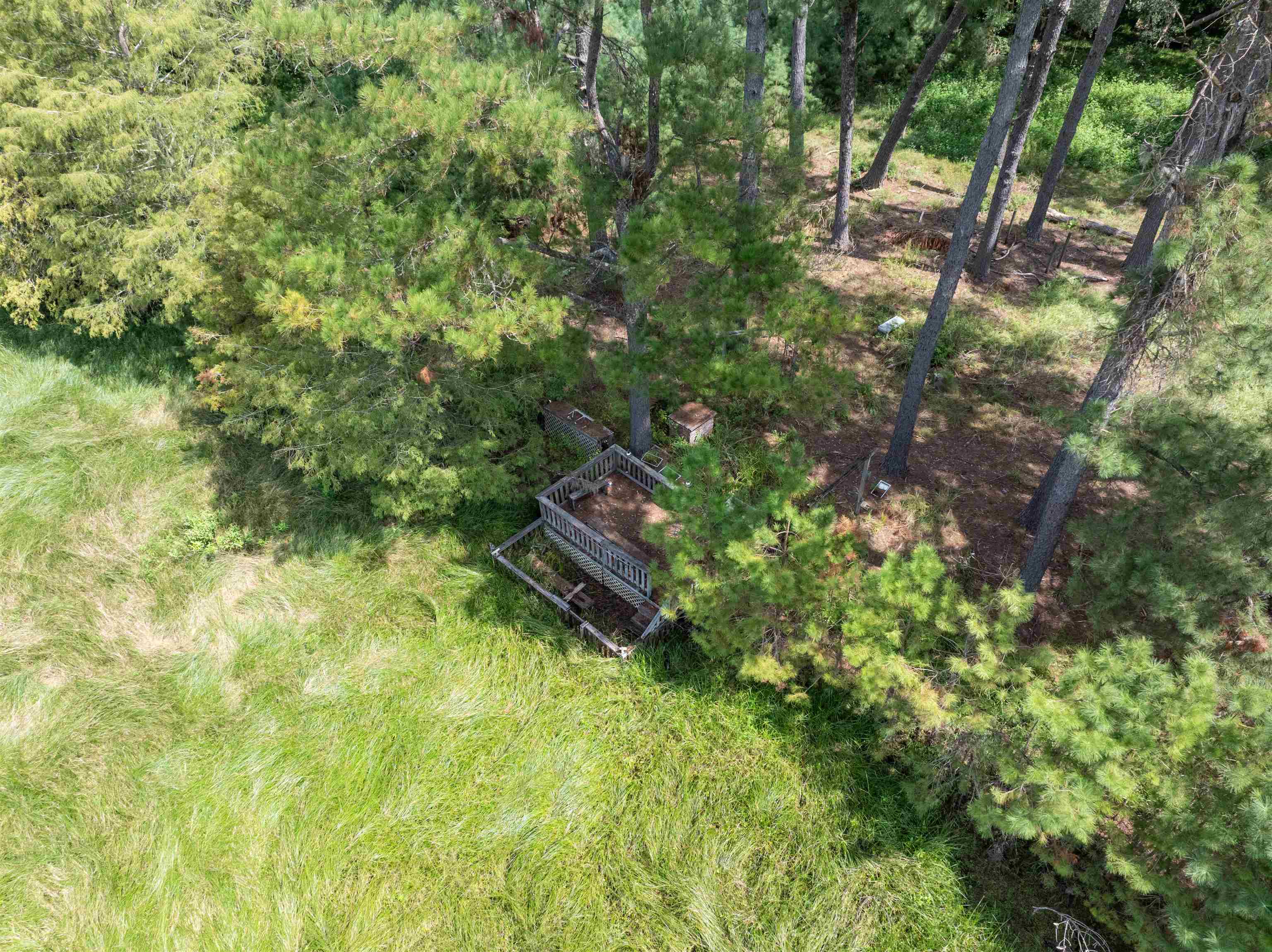 0 Northwest St Thomas Church Road Madison, FL 32340 - Photo 14 of 24 Gallery Image 14