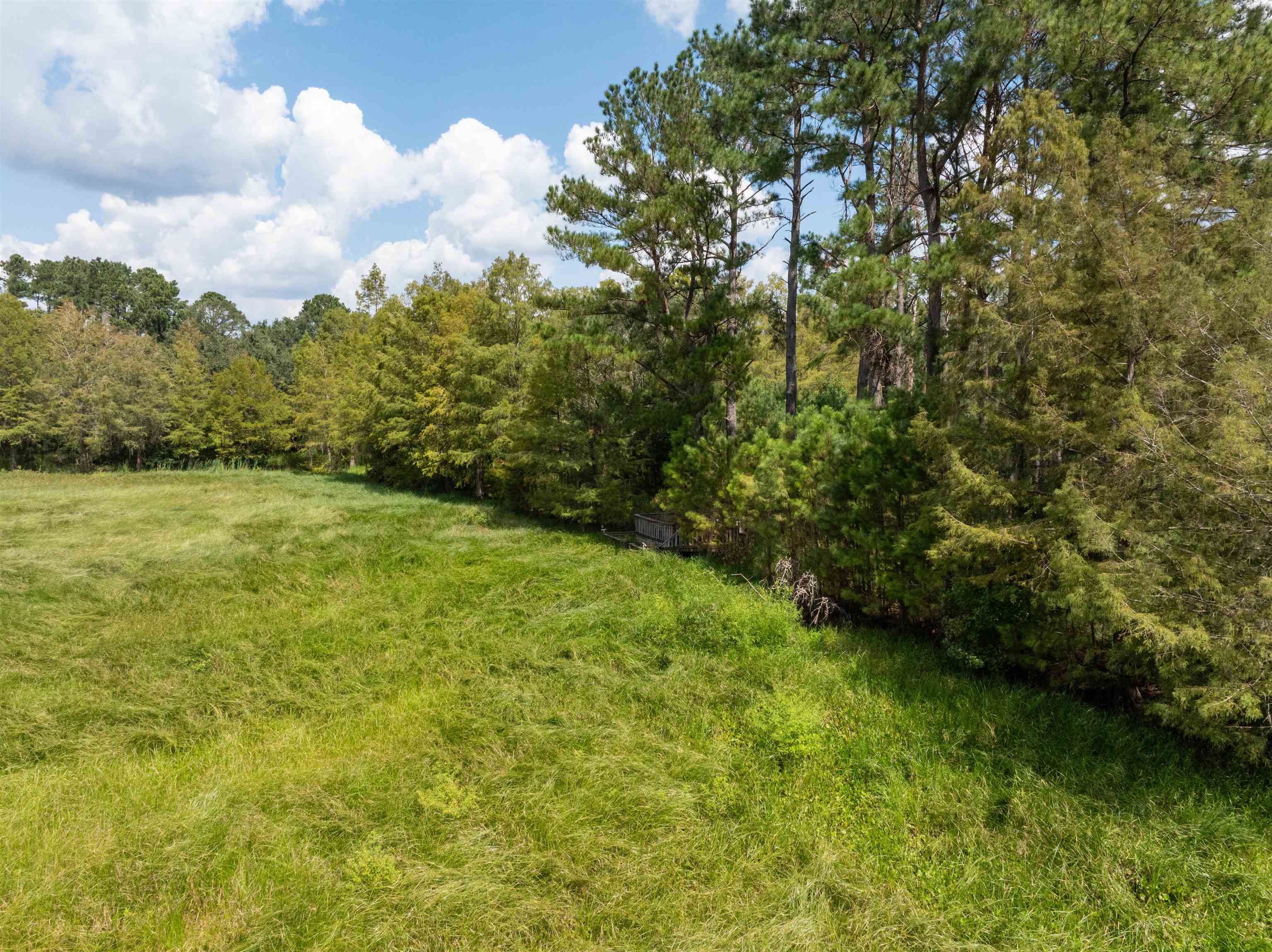 0 Northwest St Thomas Church Road Madison, FL 32340 - Photo 15 of 24 Gallery Image 15
