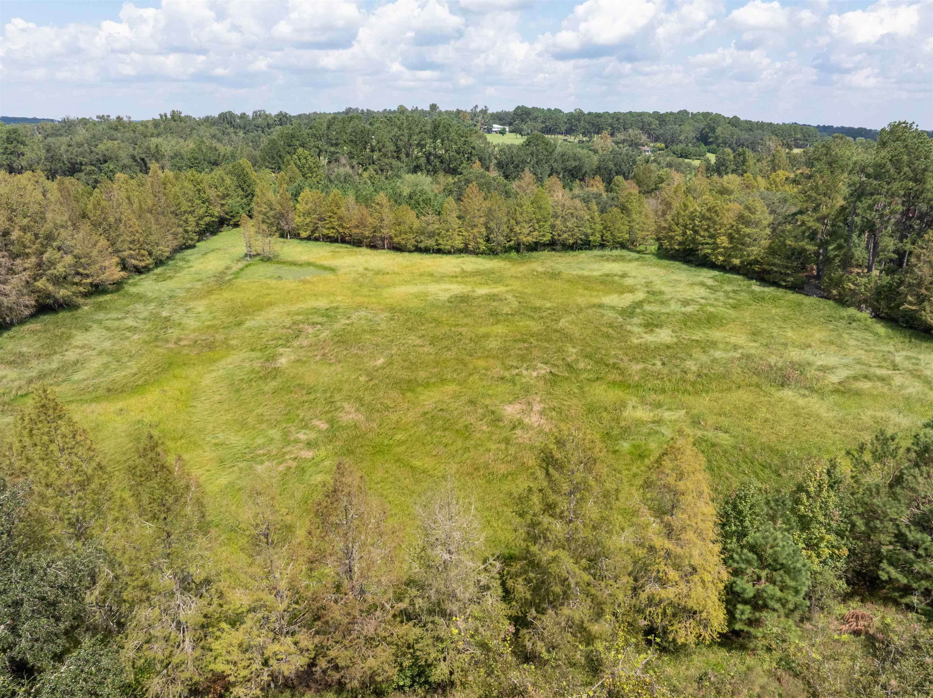 0 Northwest St Thomas Church Road Madison, FL 32340 - Photo 17 of 24 Gallery Image 17