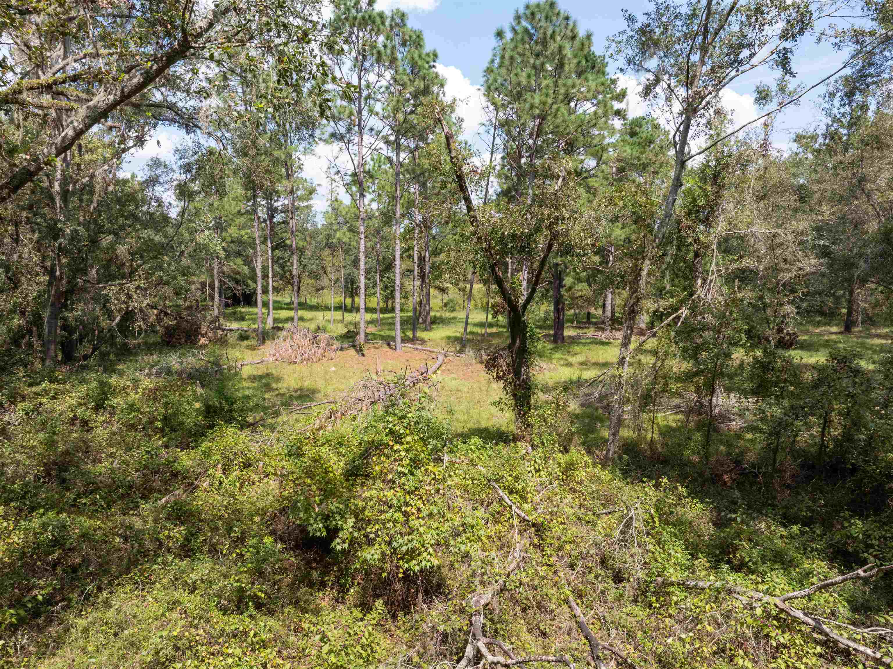 0 Northwest St Thomas Church Road Madison, FL 32340 - Photo 19 of 24 Gallery Image 19