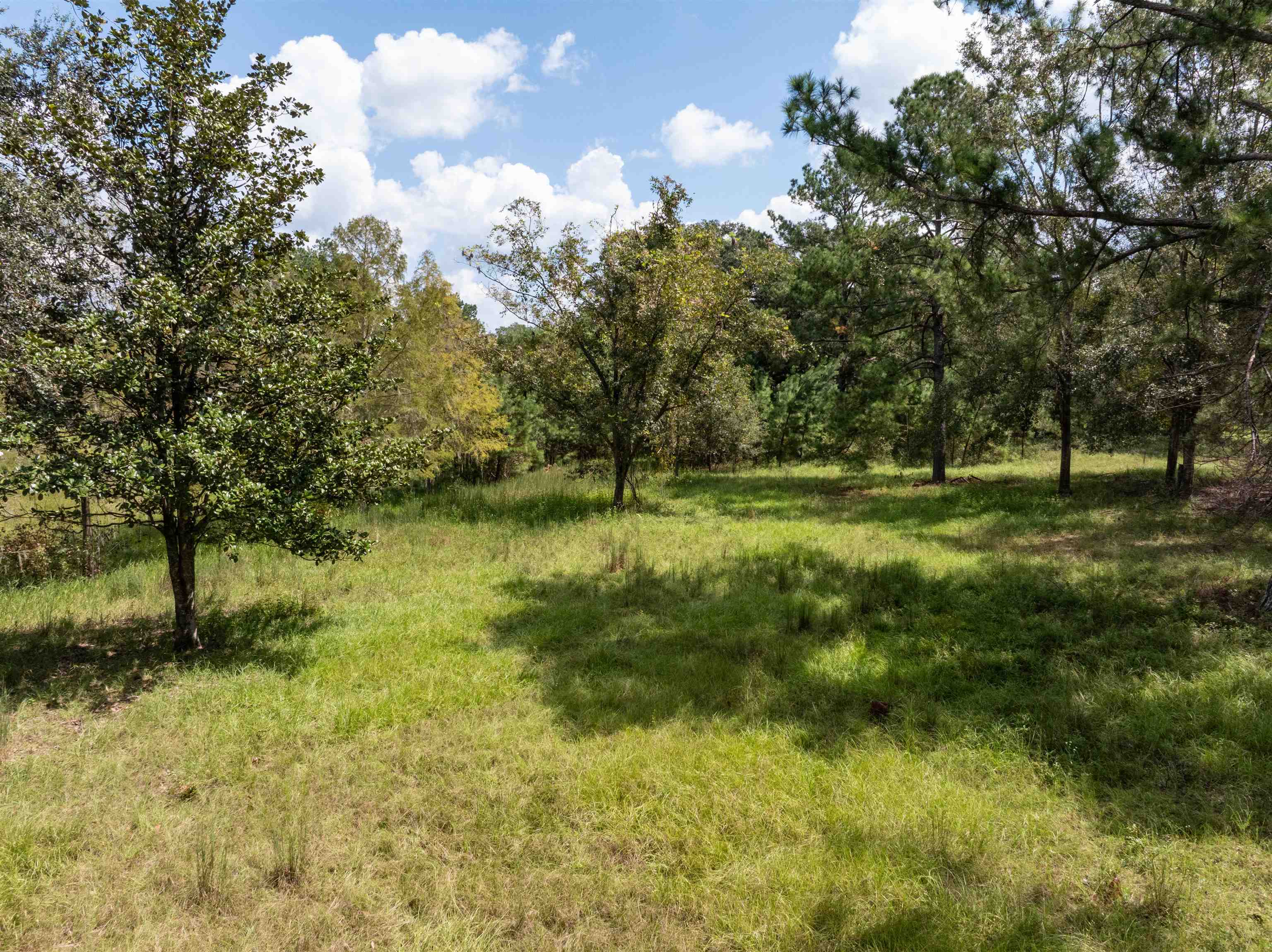 0 Northwest St Thomas Church Road Madison, FL 32340 - Photo 24 of 24 Gallery Image 24