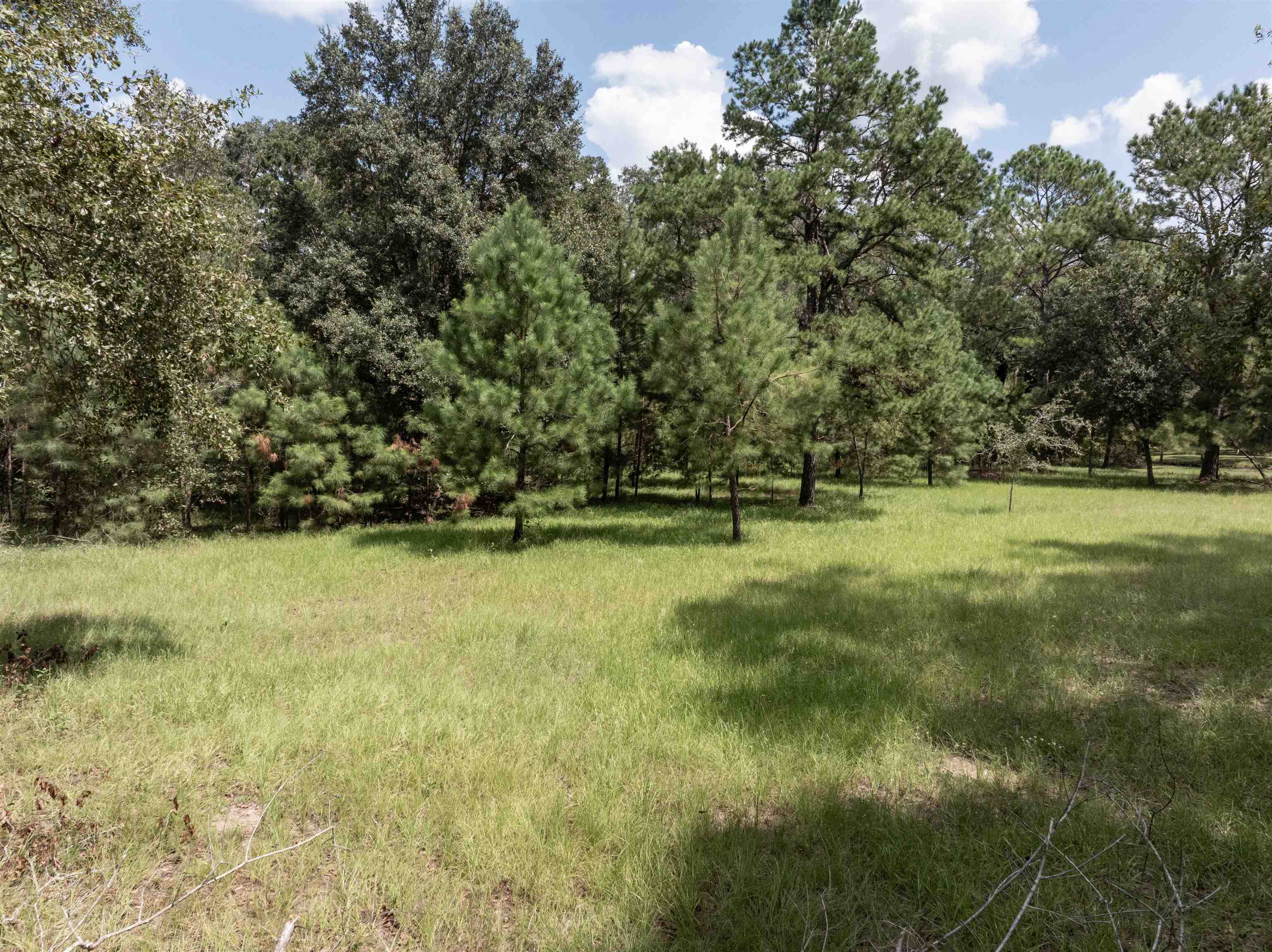 0 Northwest St Thomas Church Road Madison, FL 32340 - Photo 3 of 24 Gallery Image 3