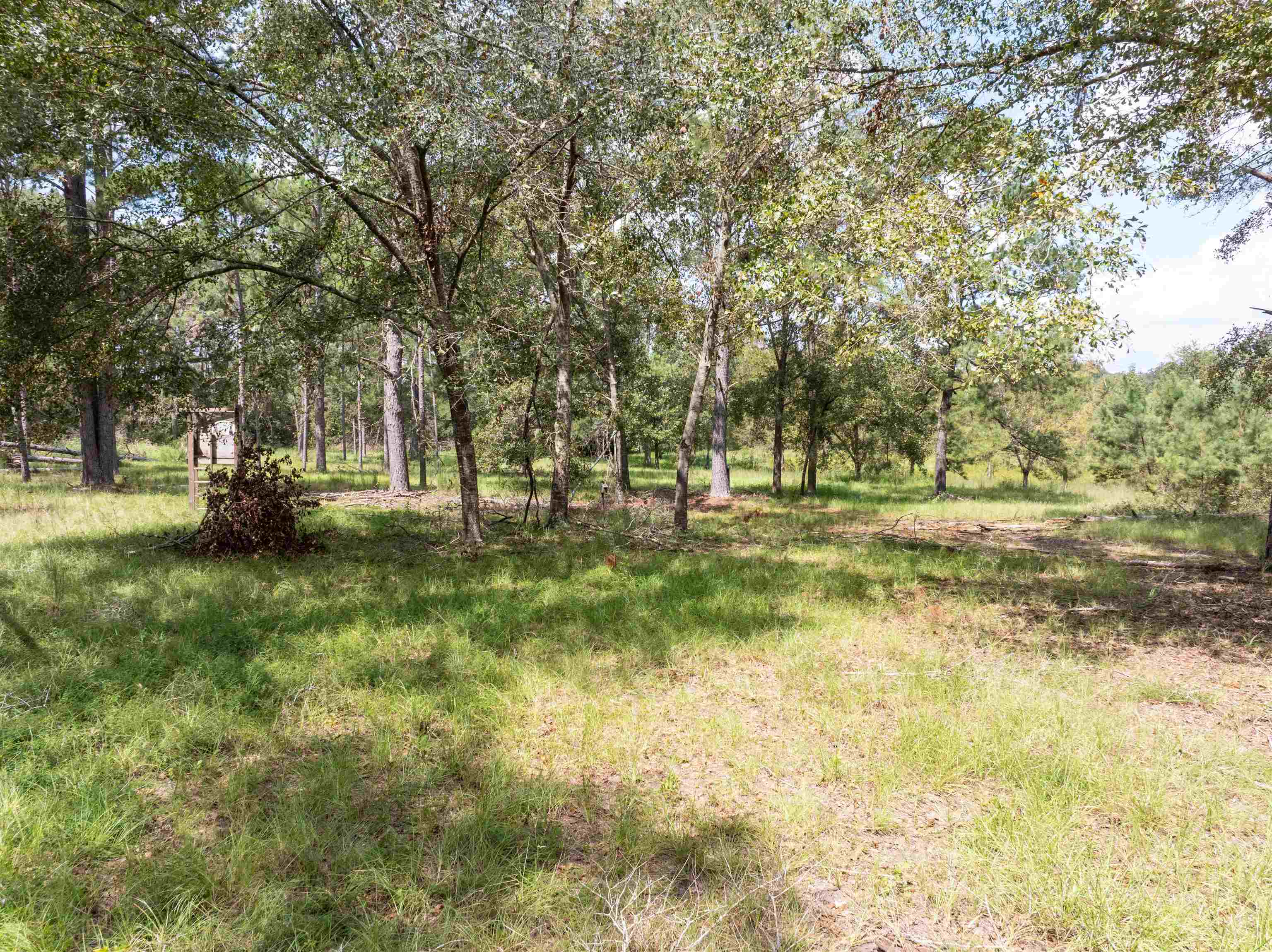 0 Northwest St Thomas Church Road Madison, FL 32340 - Photo 4 of 24 Gallery Image 4
