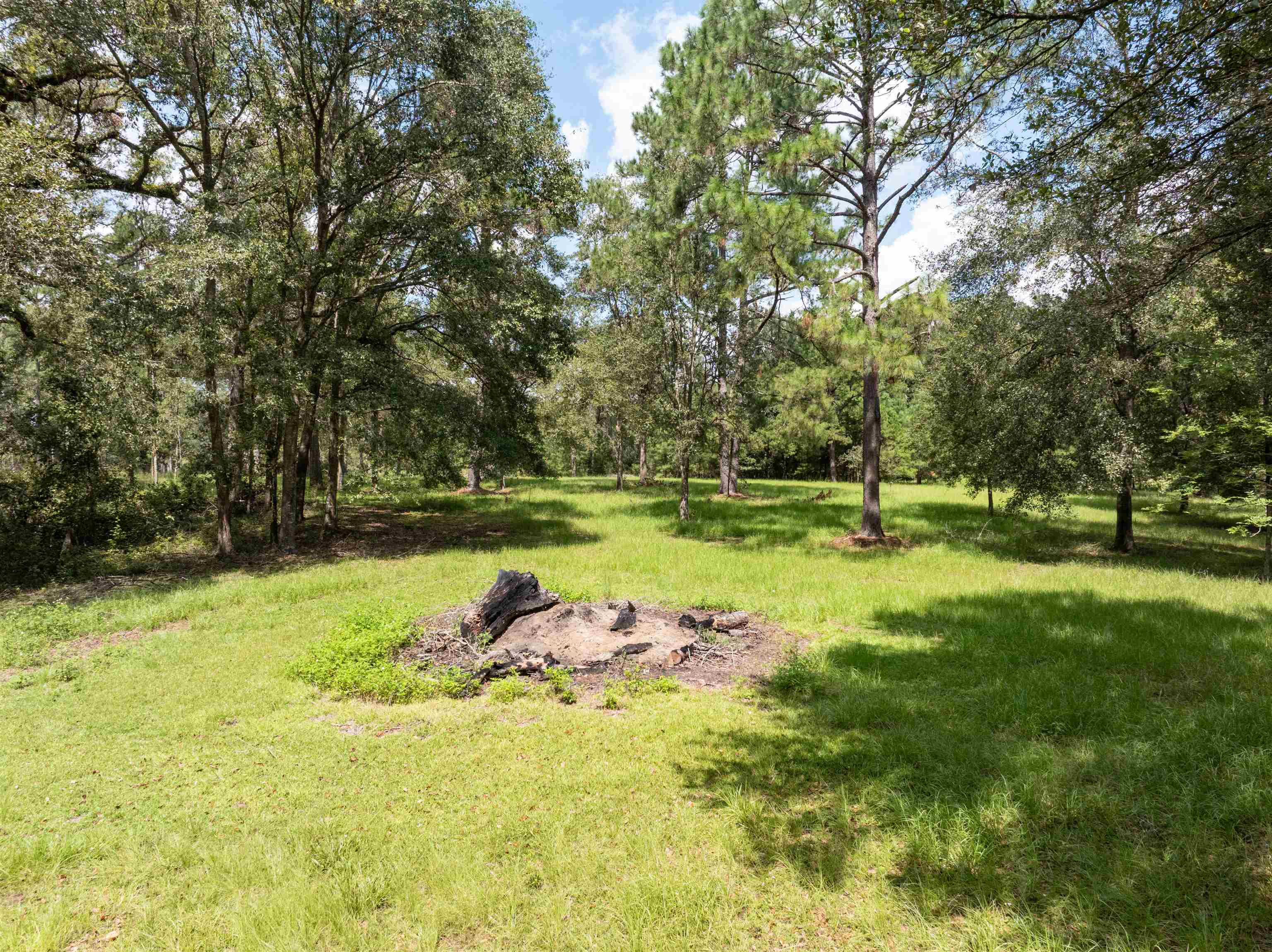0 Northwest St Thomas Church Road Madison, FL 32340 - Photo 6 of 24 Gallery Image 6