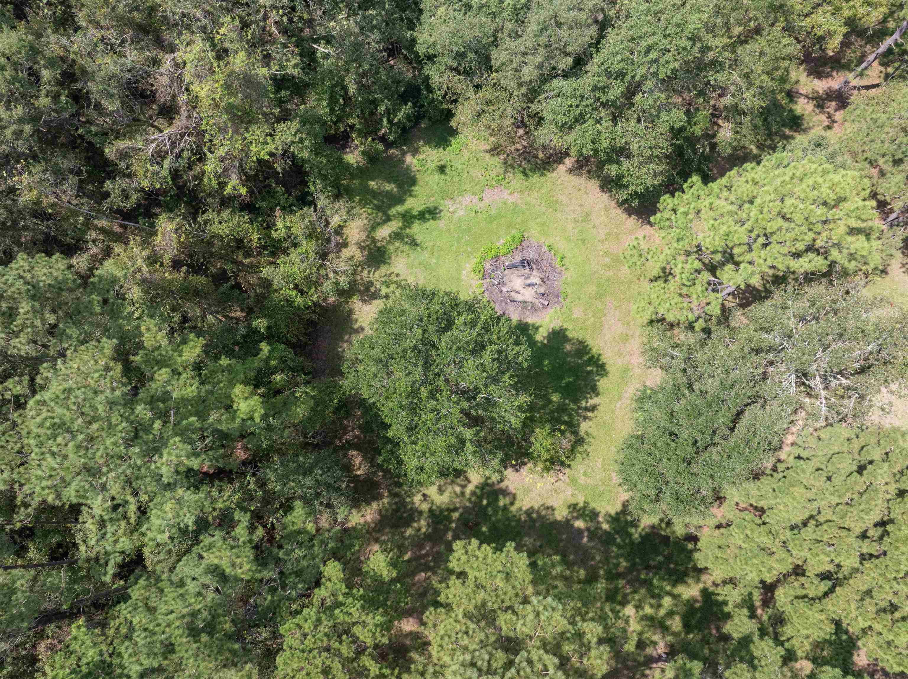 0 Northwest St Thomas Church Road Madison, FL 32340 - Photo 7 of 24 Gallery Image 7