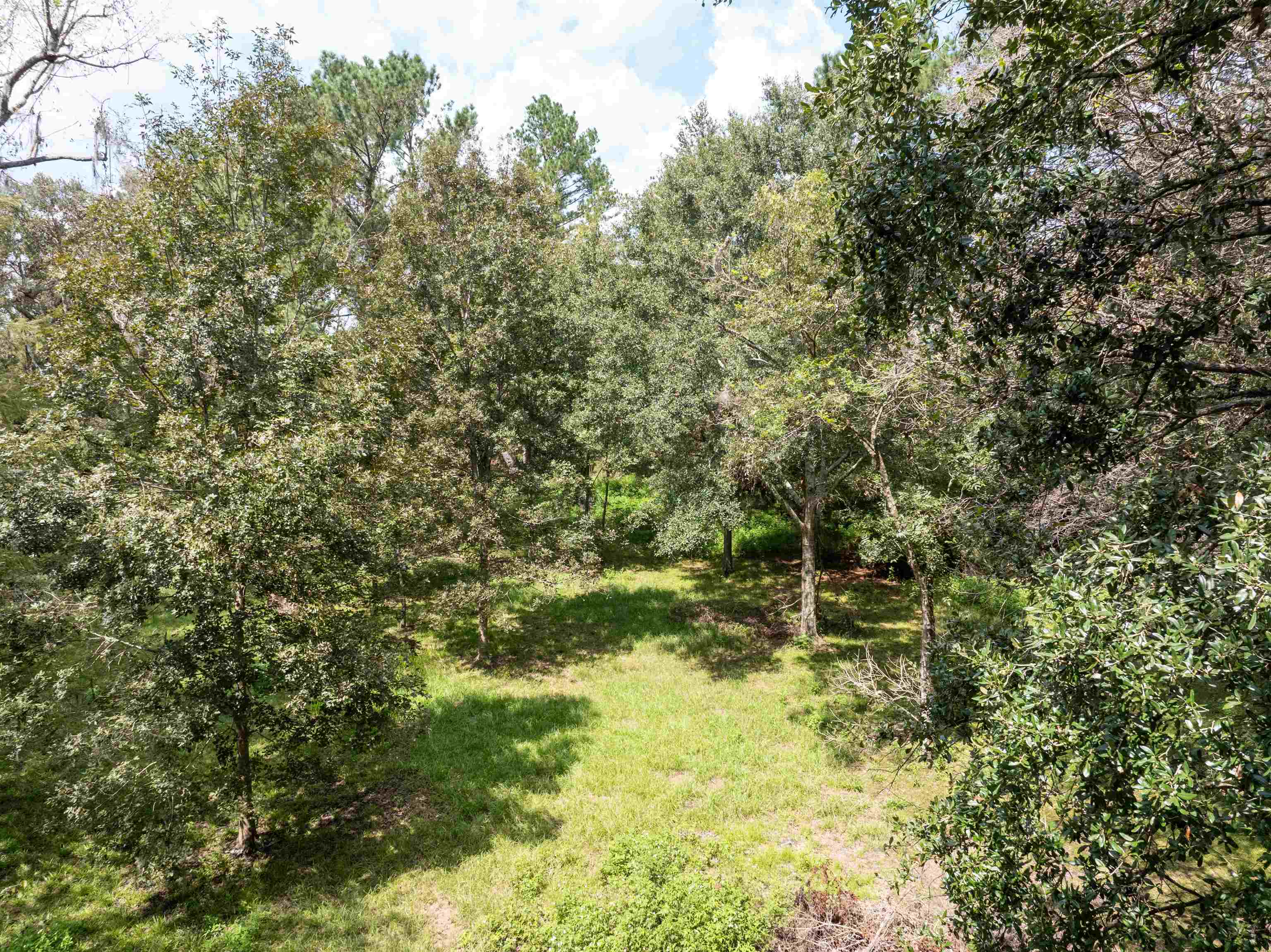 0 Northwest St Thomas Church Road Madison, FL 32340 - Photo 8 of 24 Gallery Image 8