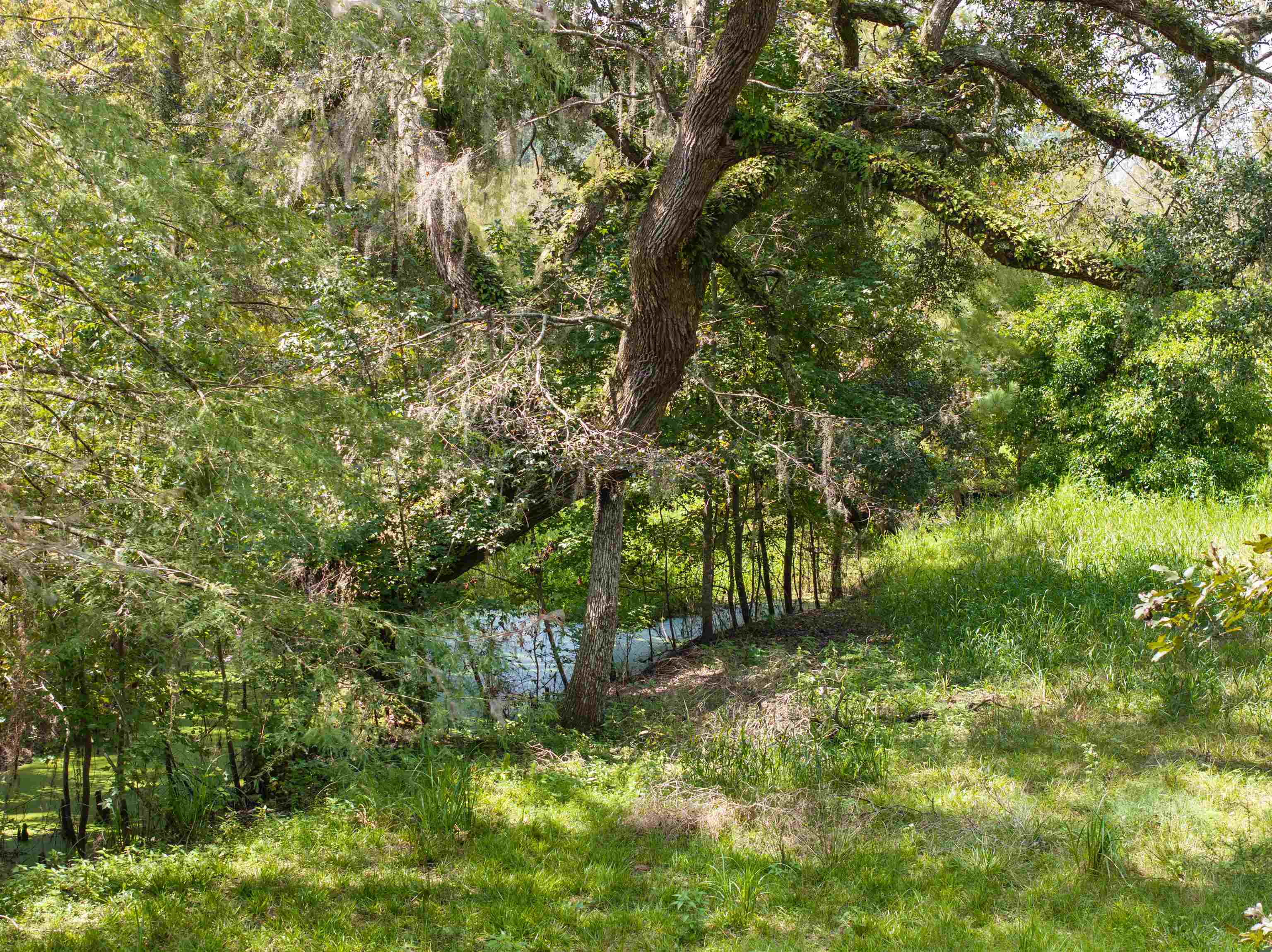 0 Northwest St Thomas Church Road Madison, FL 32340 - Photo 10 of 24 Gallery Image 10