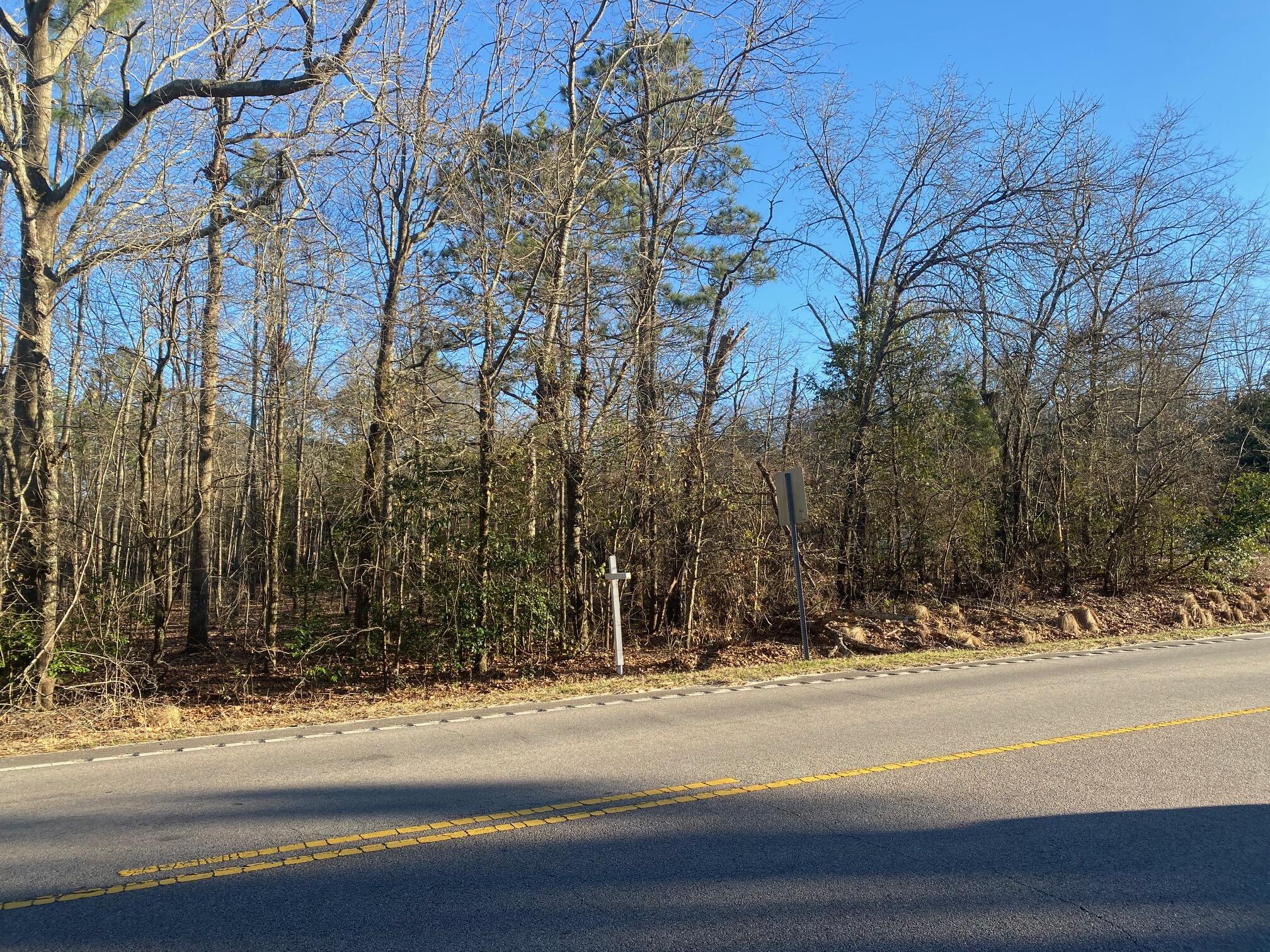 0 Fish Hatchery Road, Unit A Gaston, SC 29053 - Photo 3 of 7