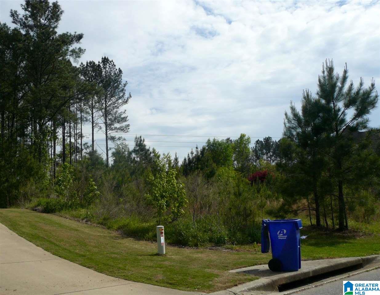 522 Woodbridge Trace, Unit 55 Chelsea, AL 35043 - Photo 4 of 22