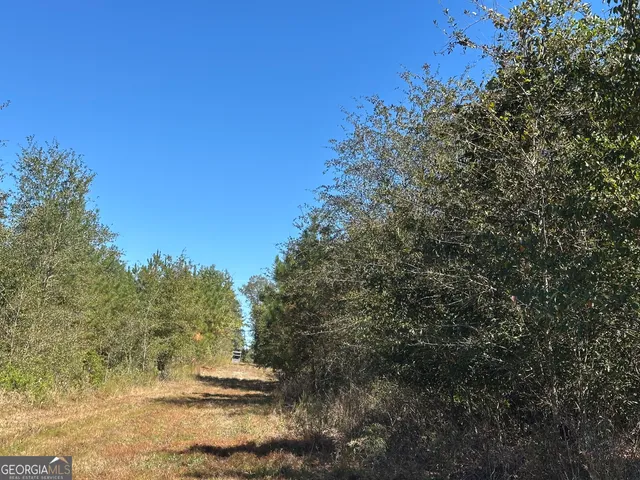 a view of a yard with a tree