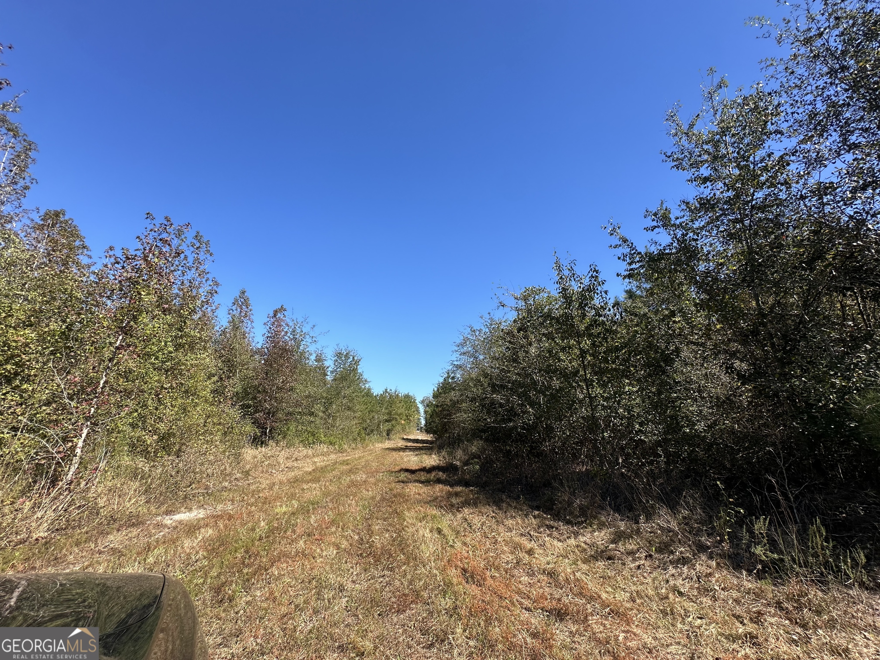 68 Sand Rdg Road Rhine, GA 31077 - Photo 37 of 54