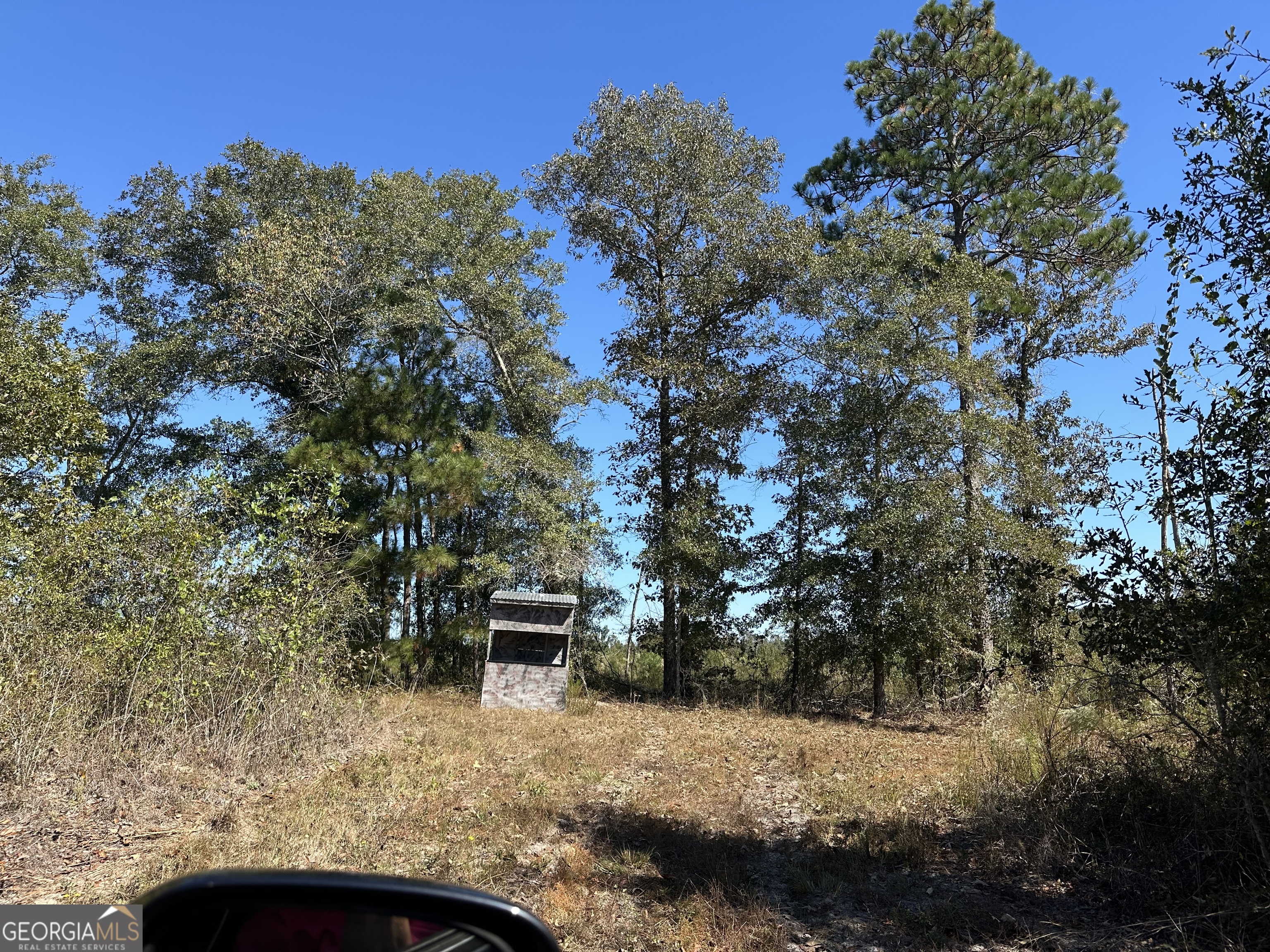 68 Sand Rdg Road Rhine, GA 31077 - Photo 39 of 54 a view of outdoor space and yard