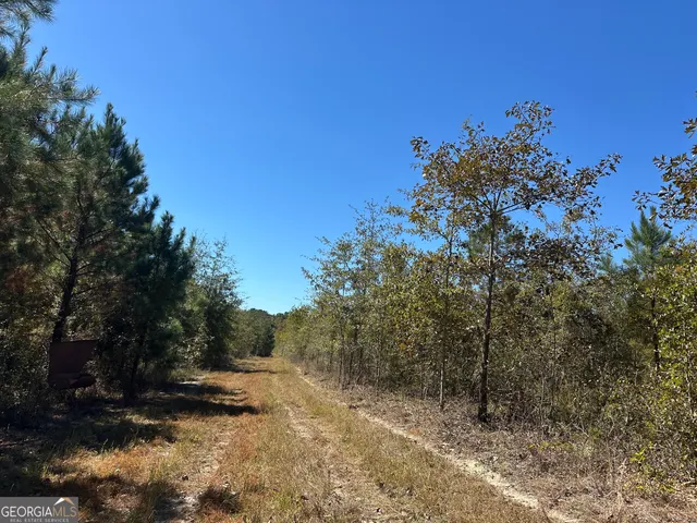 a view of a yard with a tree