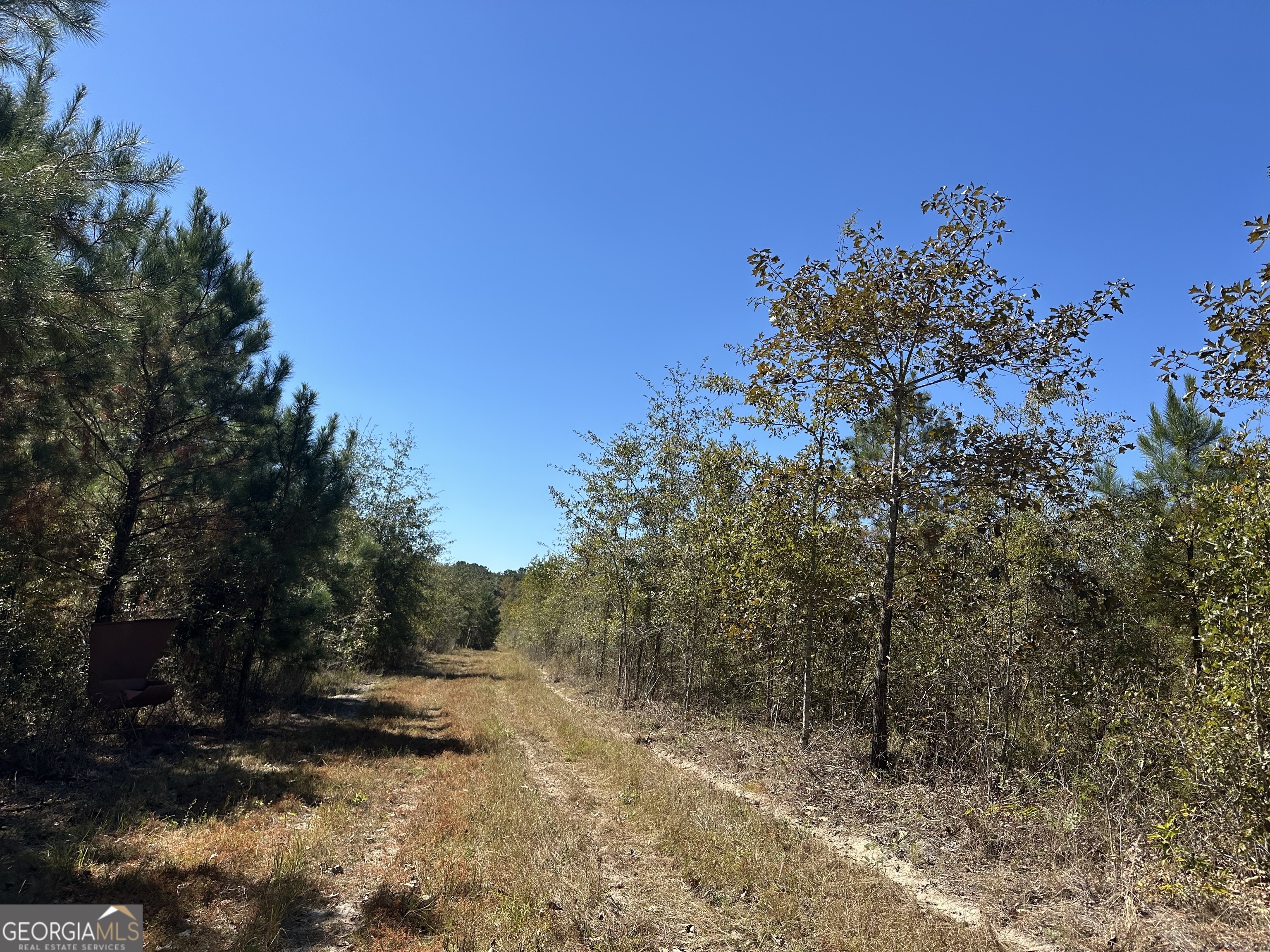 68 Sand Rdg Road Rhine, GA 31077 - Photo 44 of 54 a backyard of a house with lots of green space