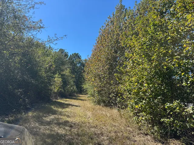 a view of river covered with trees