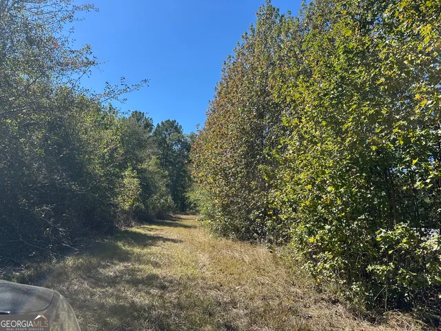 a view of a backyard of the house