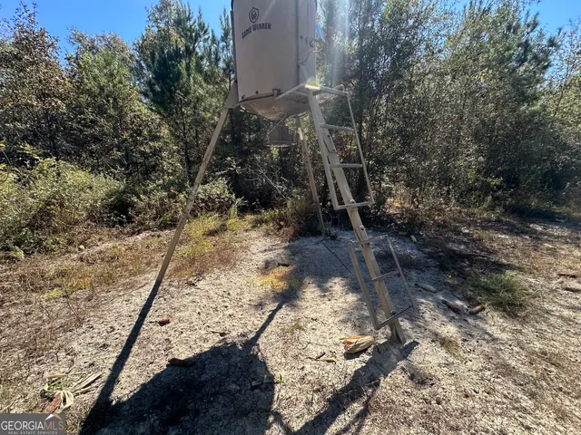 $379,000 | 68 Sand Rdg Road, Rhine, GA 31077