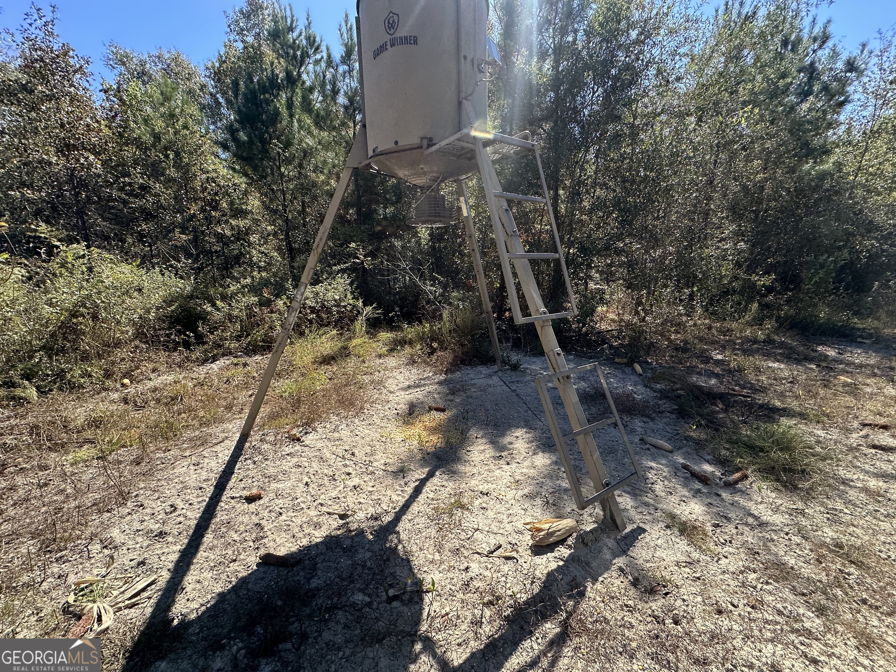 68 Sand Rdg Road Rhine, GA 31077 - Photo 51 of 54 a view of a backyard of the house