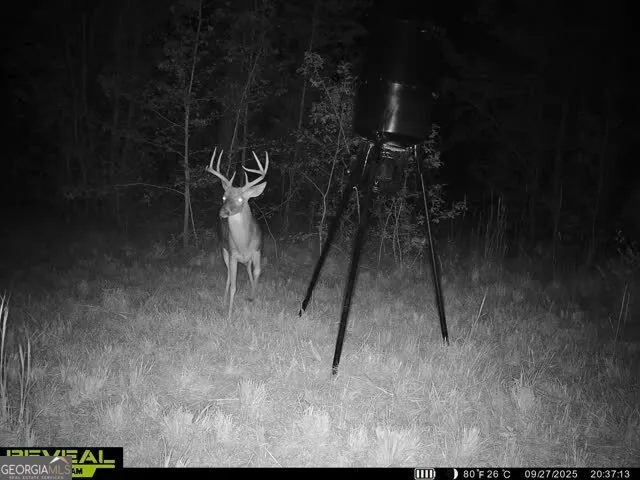 $379,000 | 68 Sand Rdg Road, Rhine, GA 31077