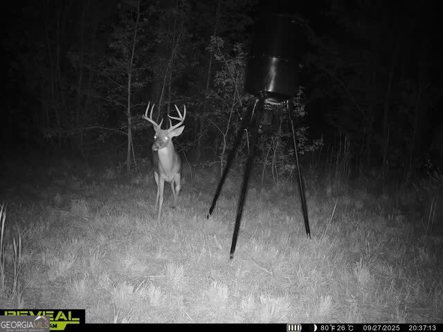 68 Sand Rdg Road Rhine, GA 31077 - Photo 52 of 54