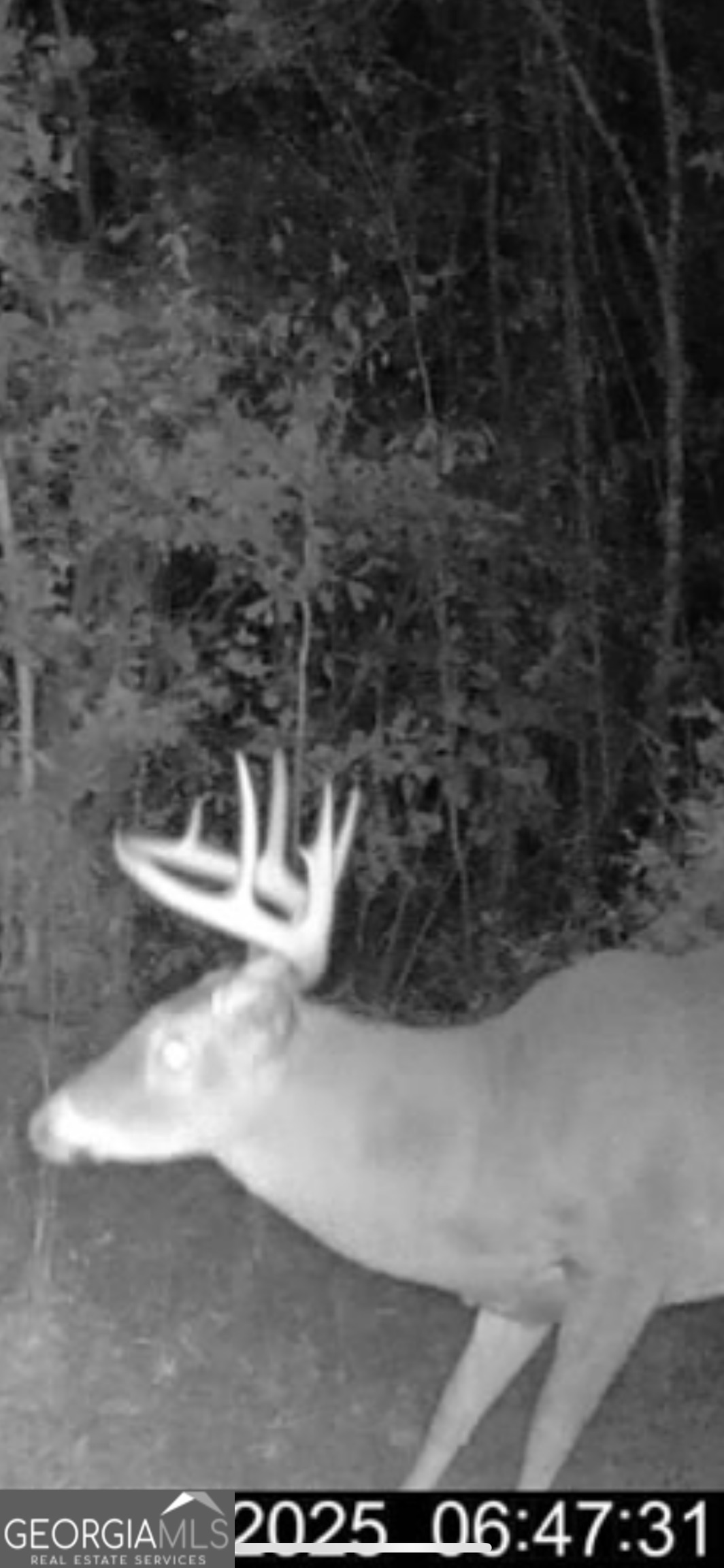 68 Sand Rdg Road Rhine, GA 31077 - Photo 54 of 54 a view of a wooden door