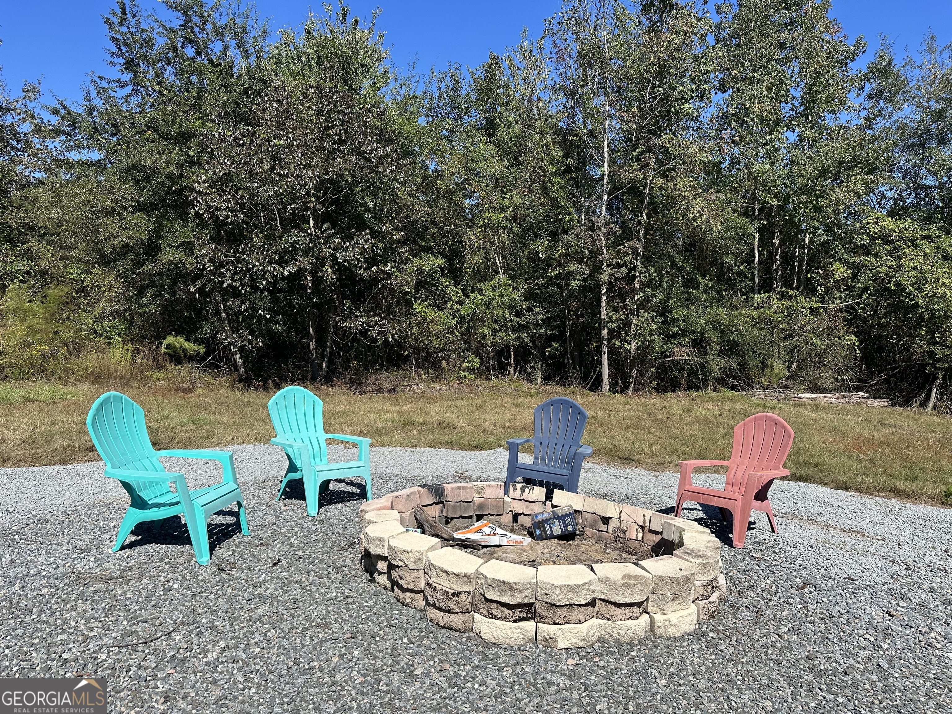 68 Sand Rdg Road Rhine, GA 31077 - Photo 7 of 54 a view of a backyard with table and chairs and a fire pit