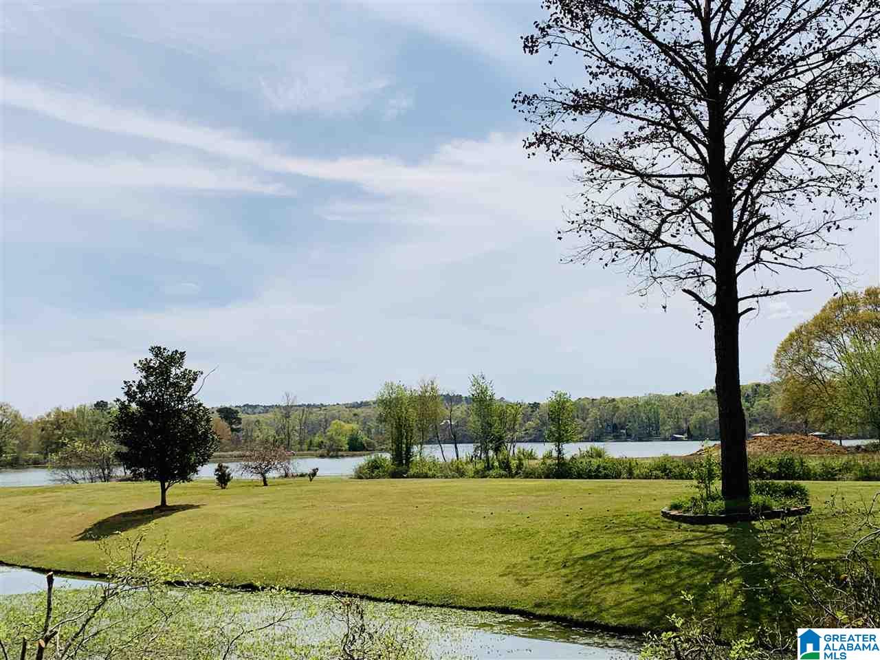 0 Carleton Point, Unit 10 Wilsonville, AL 35186 - Photo 2 of 14