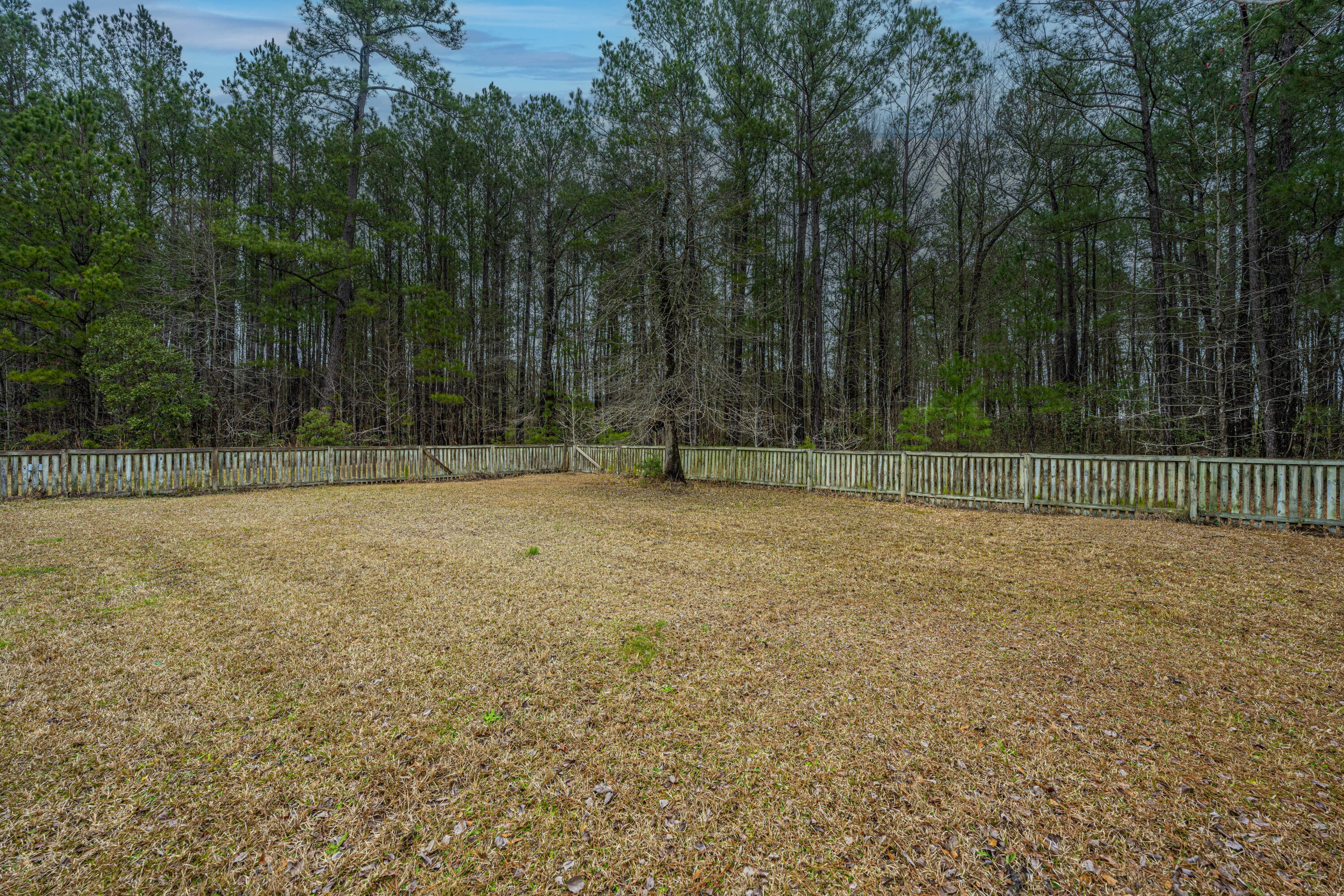 1150 Adams Road Cottageville, SC 29435 - Photo 43 of 71 Backyard