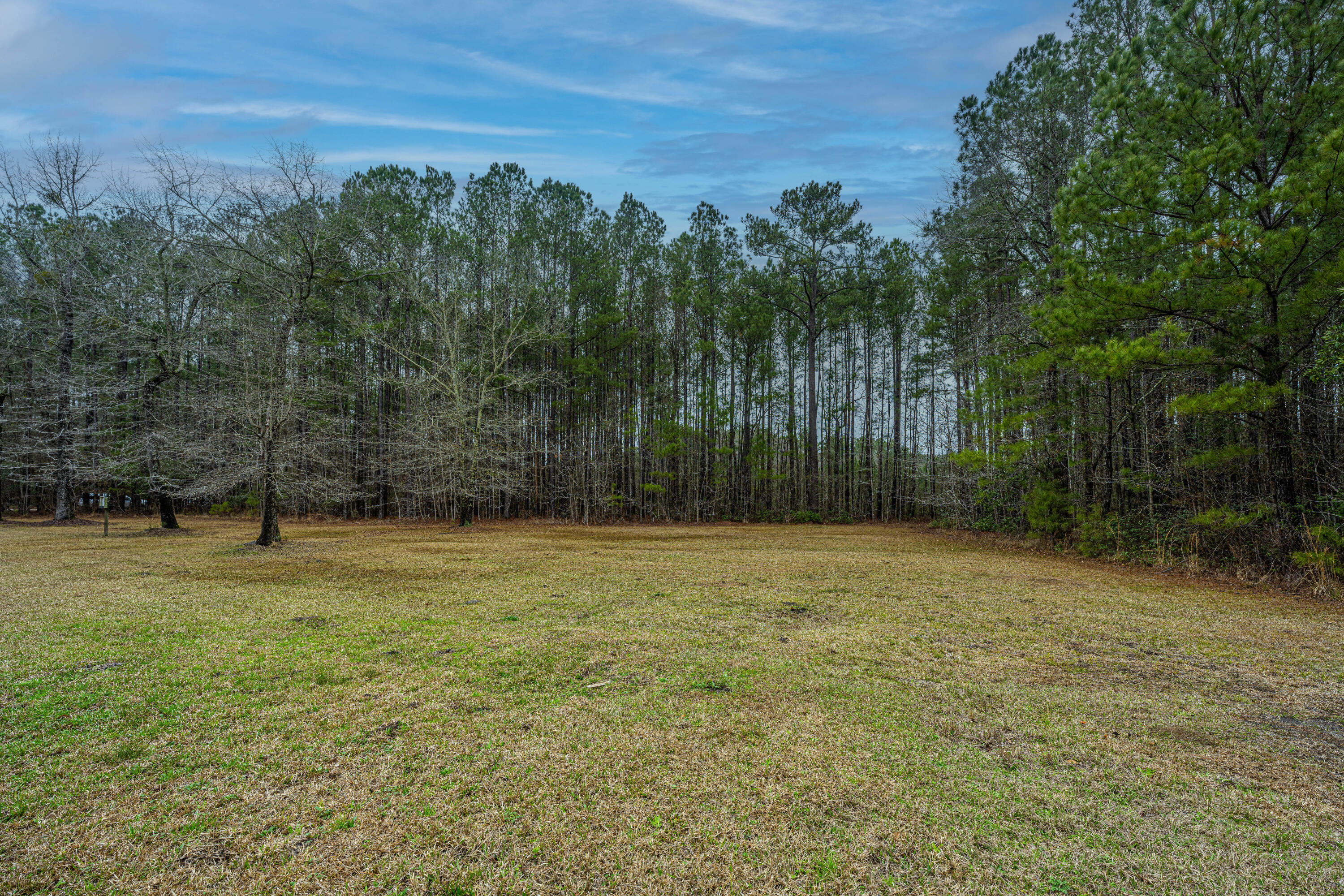 1150 Adams Road Cottageville, SC 29435 - Photo 44 of 71 Side Yard