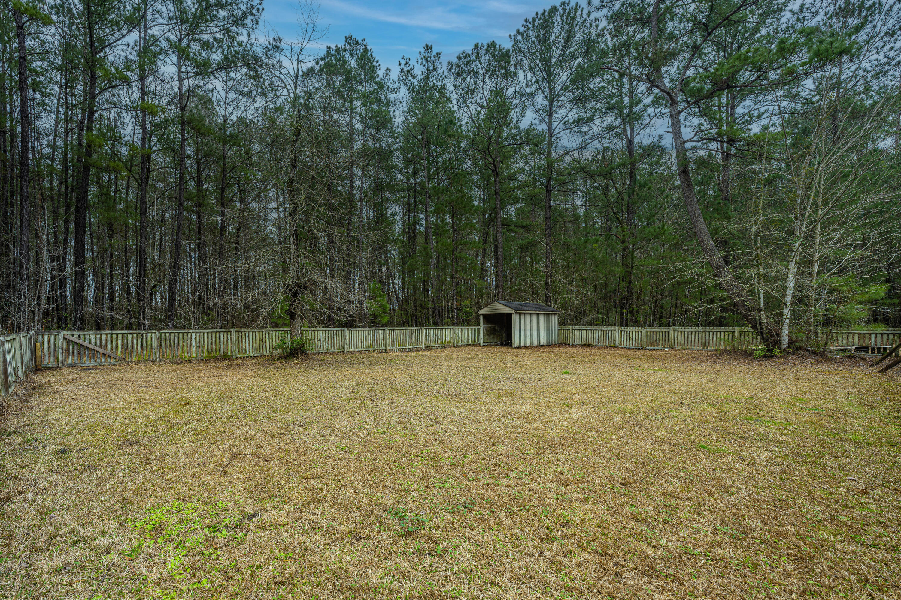 1150 Adams Road Cottageville, SC 29435 - Photo 45 of 71 Back Yard