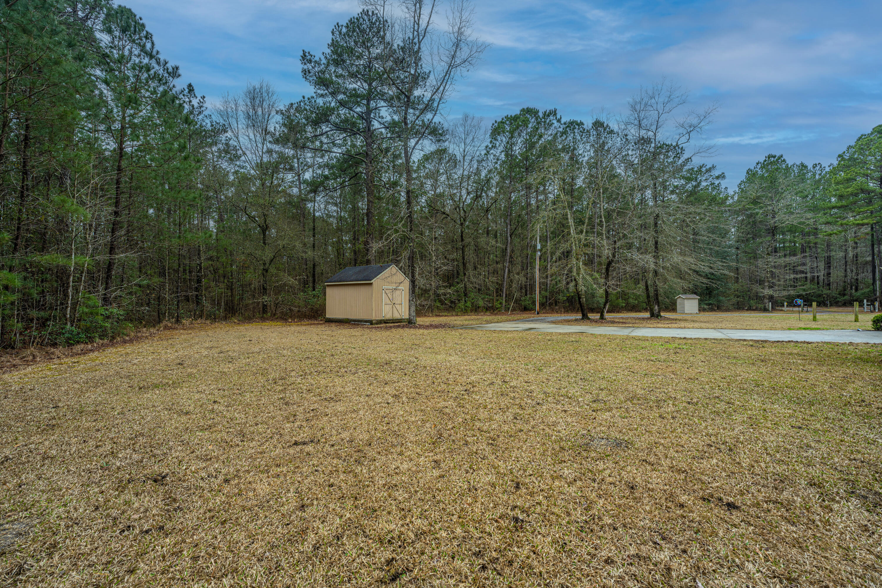 1150 Adams Road Cottageville, SC 29435 - Photo 47 of 71 Side Yard