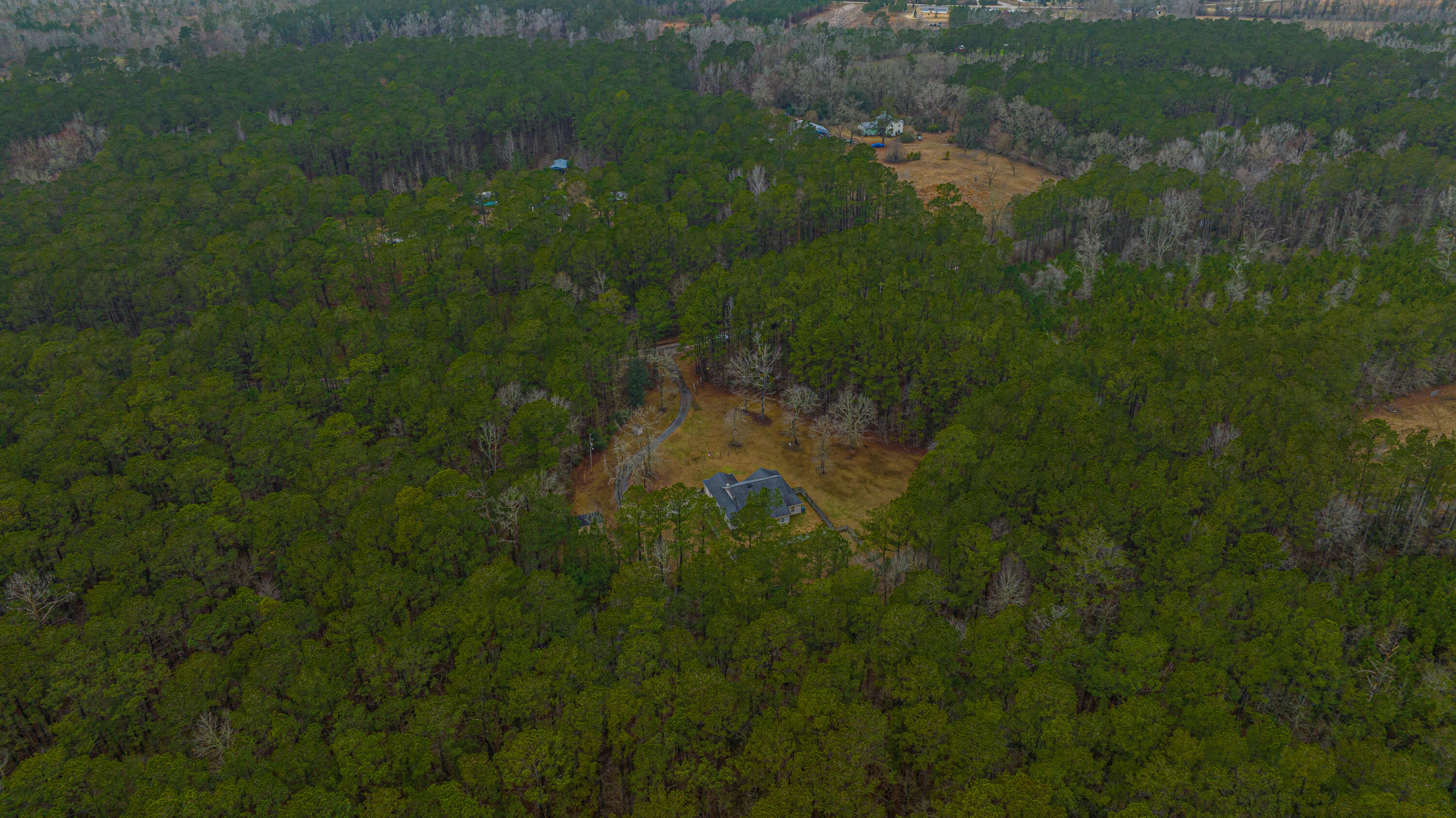 1150 Adams Road Cottageville, SC 29435 - Photo 63 of 71 Aerial