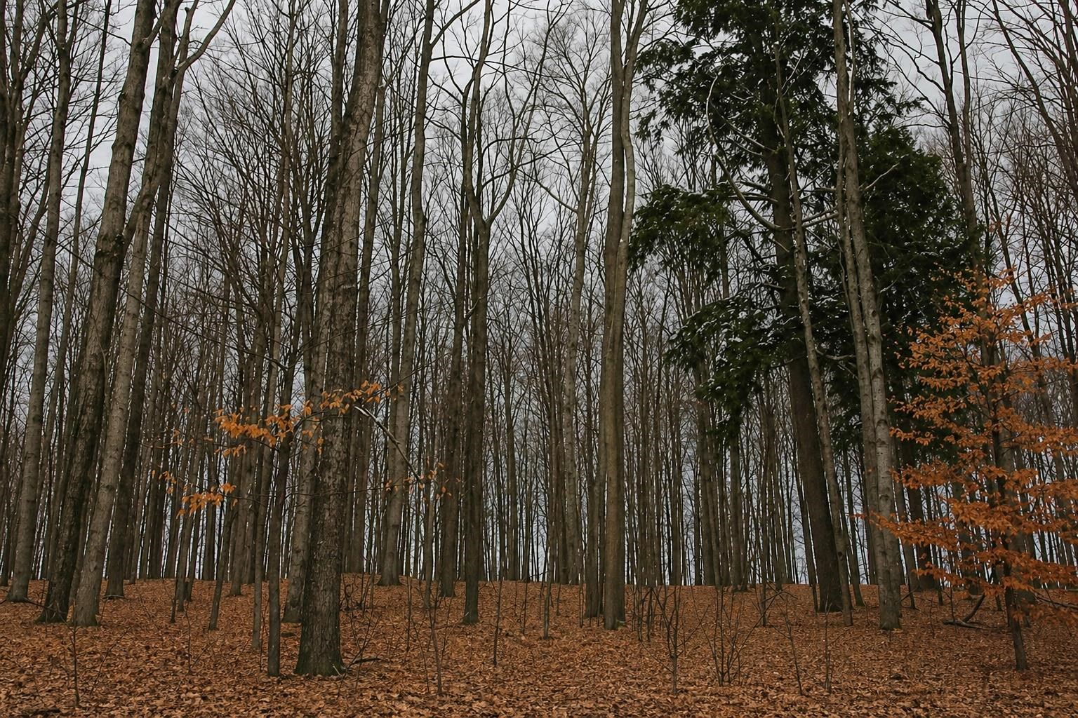 ***** Buckaroo Trail, Unit 11 Petoskey, MI 49770 - Photo 3 of 11