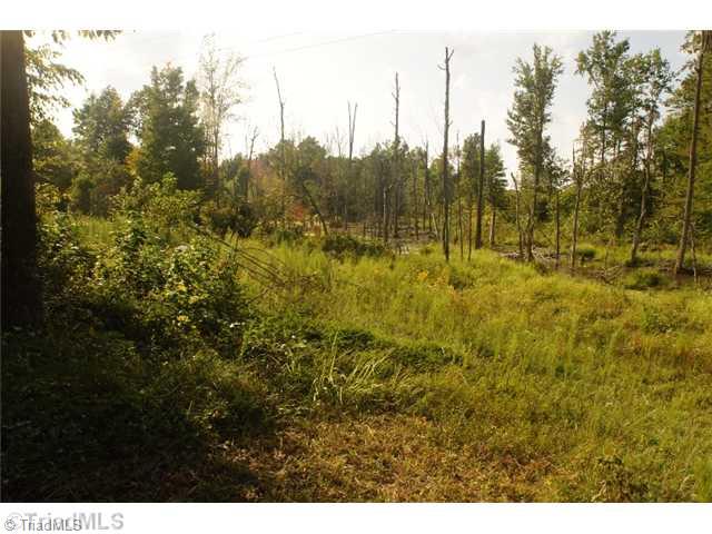 1406 County Line Road Reidsville, NC 27320 - Photo 15 of 15 Land/Lot.
