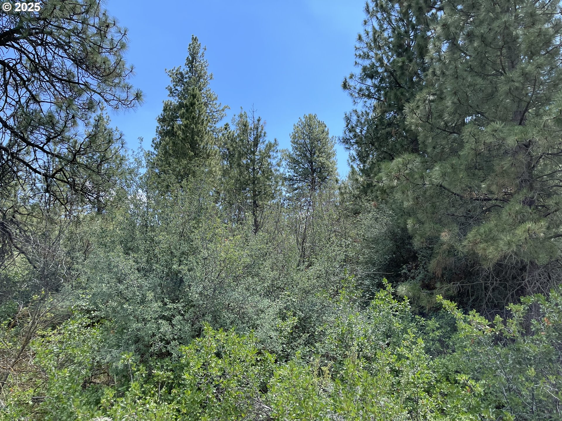 Margi Way, Unit 8 Chiloquin, OR 97624 - Photo 6 of 23