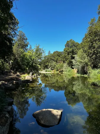 a view of a lake from a yard