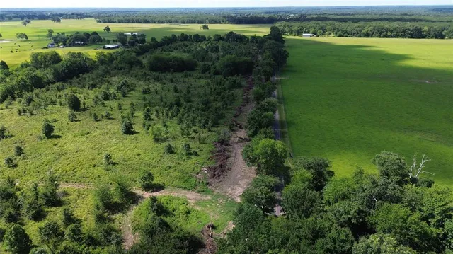 an aerial view of green landscape with trees