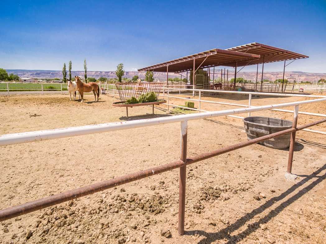 936 22 Road Grand Junction, CO 81505 - Photo 24 of 42 a view of a swimming pool with a lawn chairs under an umbrella