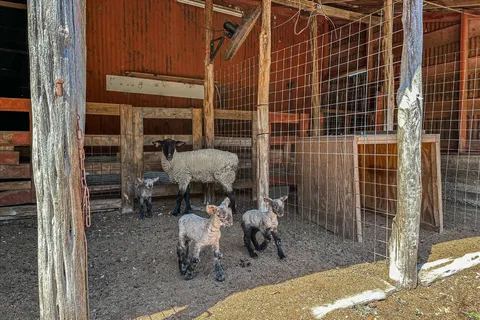 $1,900,000 | 5421 Purgatory Road, San Marcos, TX 78666