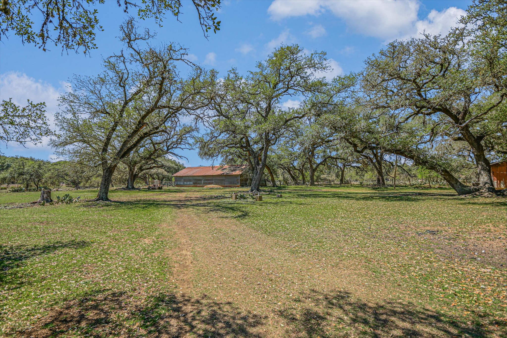 5421 Purgatory Road San Marcos, TX 78666 - Photo 23 of 38 a view of backyard with outdoor space