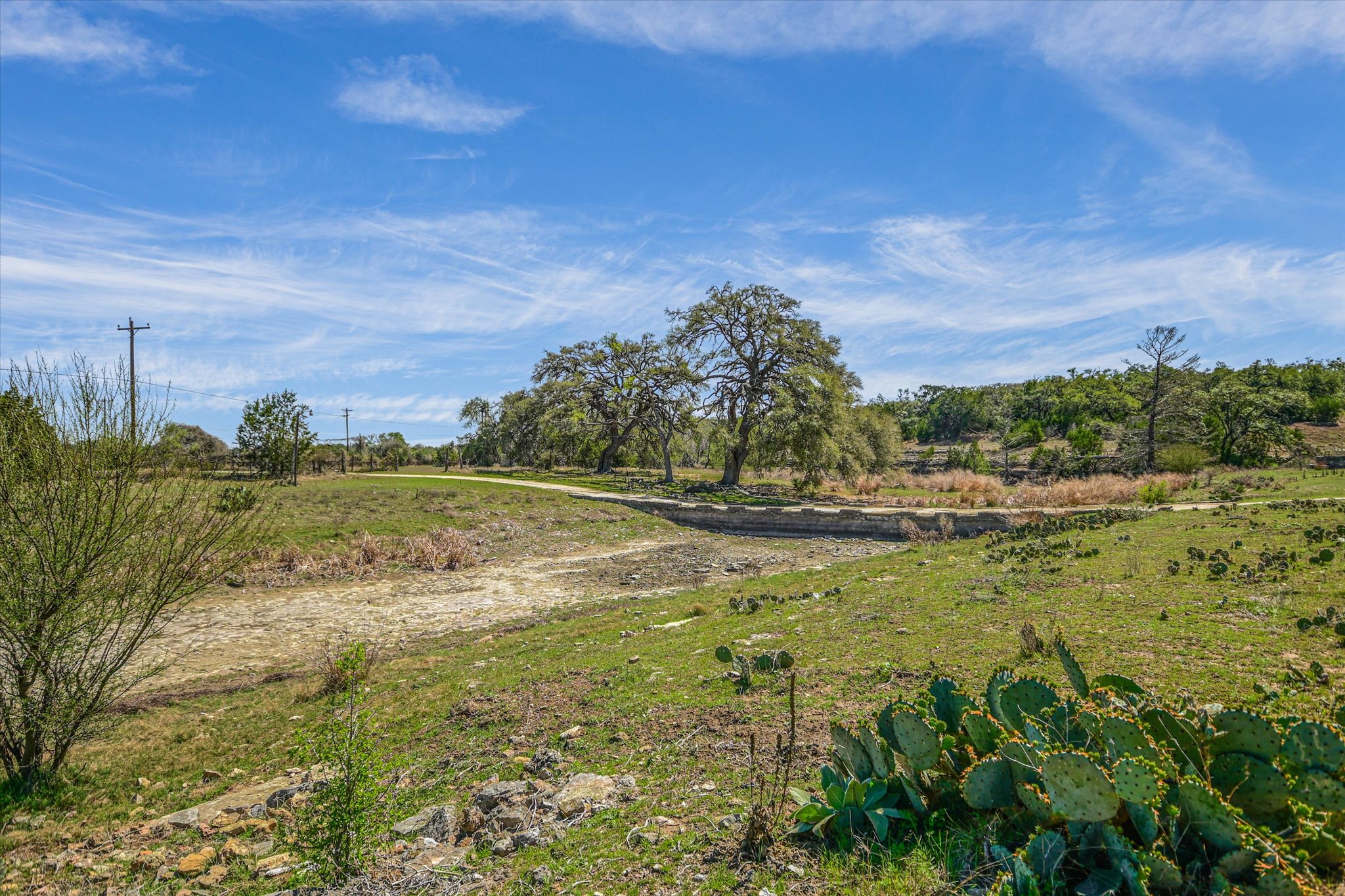 5421 Purgatory Road San Marcos, TX 78666 - Photo 24 of 38 a view of a yard with an trees