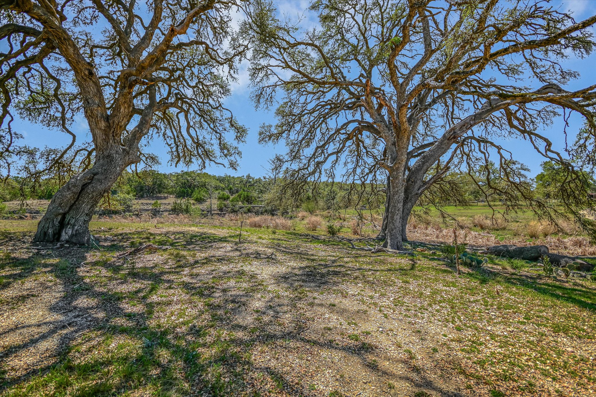 5421 Purgatory Road San Marcos, TX 78666 - Photo 25 of 38 a view of a yard with trees