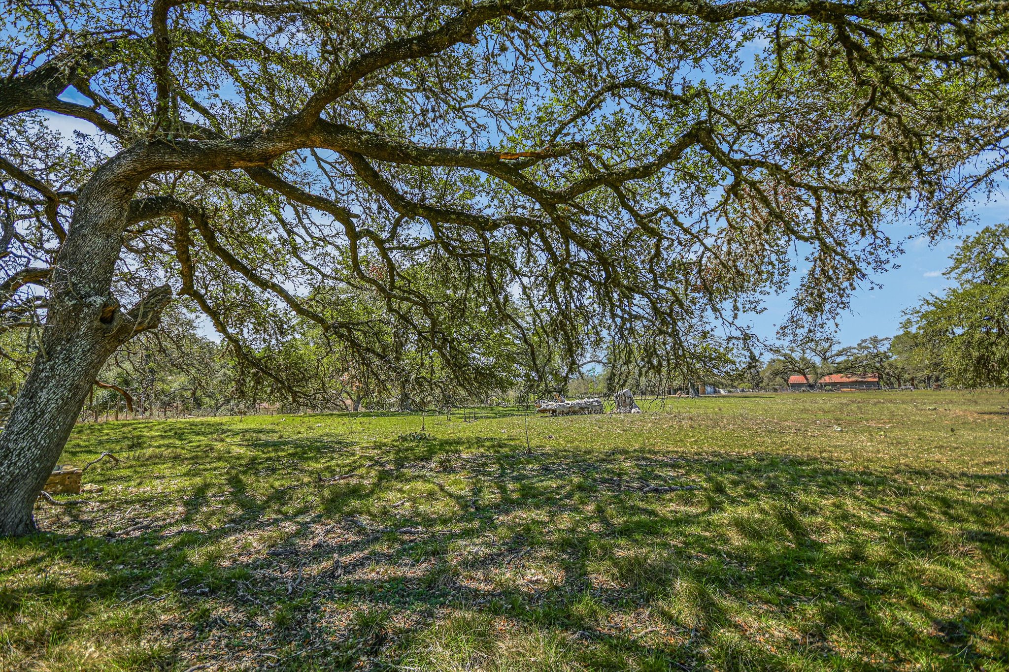 5421 Purgatory Road San Marcos, TX 78666 - Photo 27 of 38 a big yard with lots of green space and trees