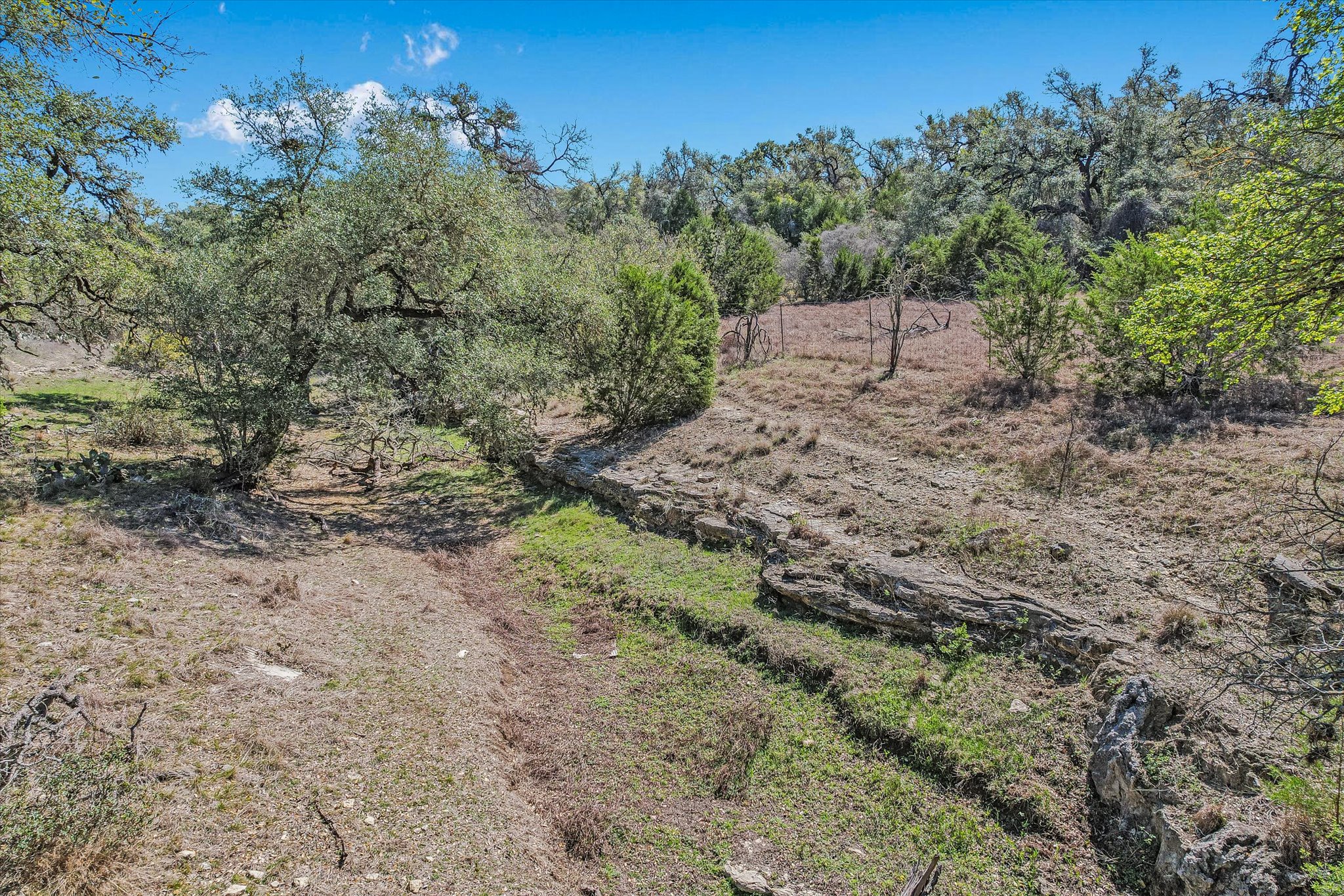 5421 Purgatory Road San Marcos, TX 78666 - Photo 36 of 38 a view of a yard with a tree