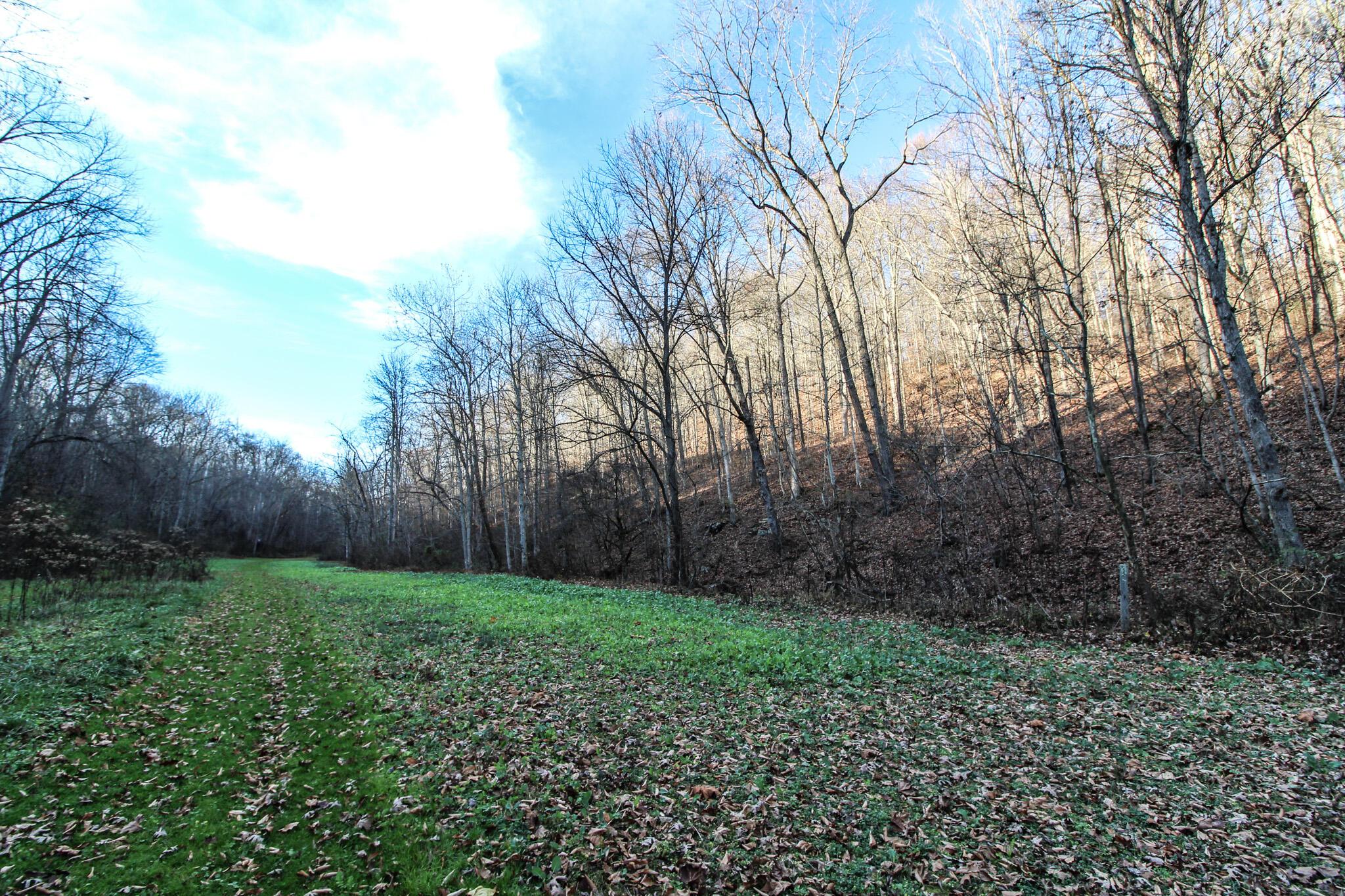 35335 Paw Paw Road, Unit R Lower Salem, OH 45745 - Photo 24 of 43 IMG_5632