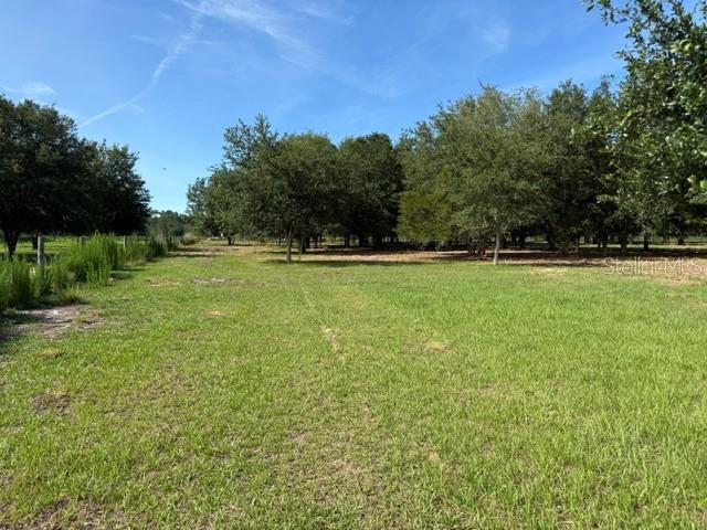 7214 Oil Well Road Clermont, FL 34714 - Photo 4 of 16 a view of a green field with trees in the background