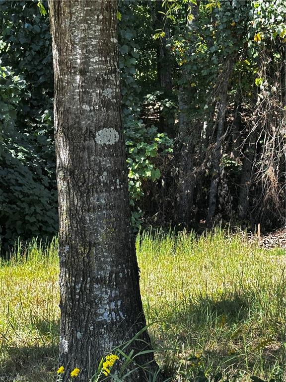 0 Reid Road King, NC 27021 - Photo 16 of 41