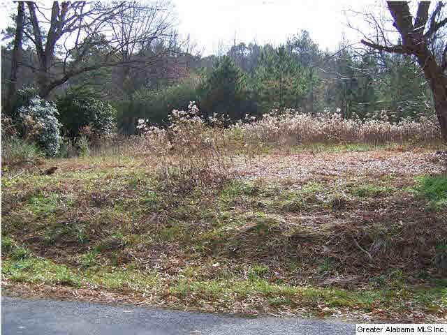 320 County Road 42, Unit 25 AC Oneonta, AL 35121 - Photo 2 of 6